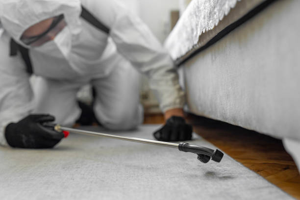 Professional Termite Control technician working in Channelview, TX
