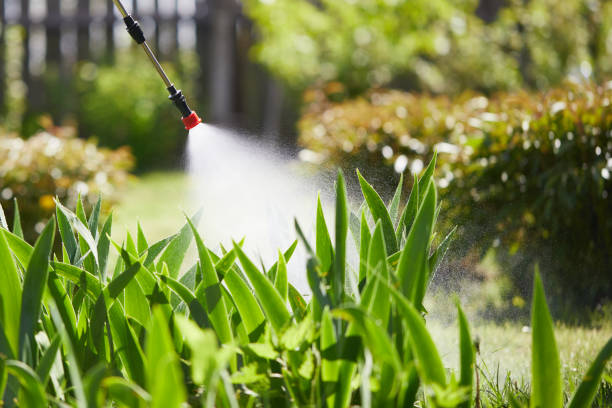 24/7 Emergency Termite Control experts in Channelview, TX